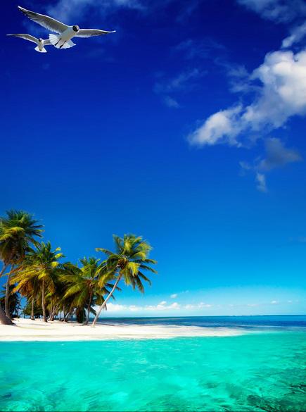 Caribbean Sailing Vacations | YACHTICO.com