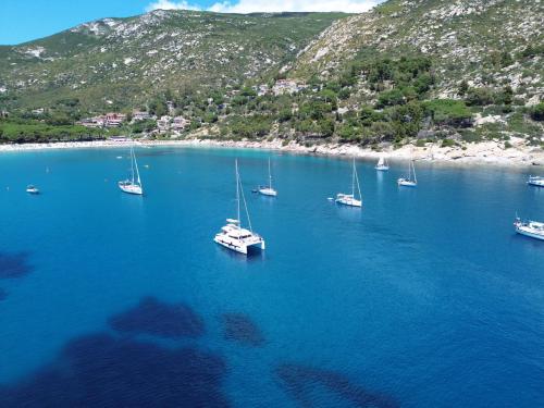 Cat Bali 4.1 available for charter in Piombino