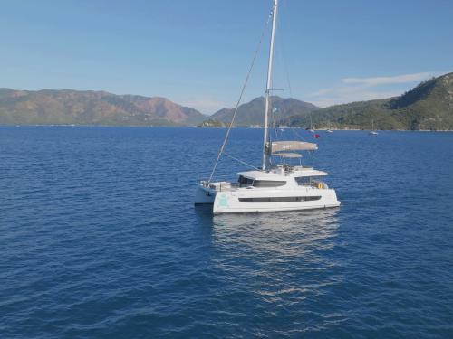 Catamaran Bali 4.6 available for charter in Albatros Marina