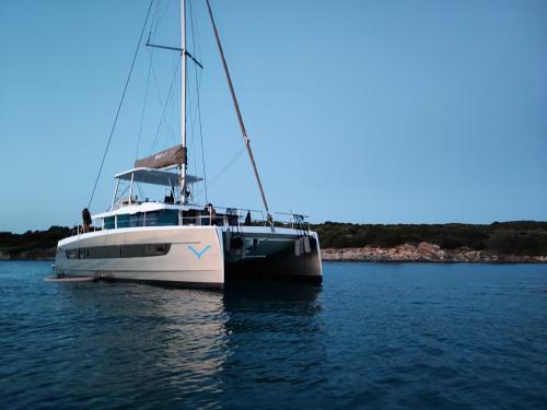 Catamaran Bali 4.6 available for charter in Porto Rotondo