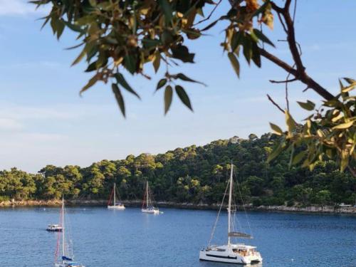 Kat Bali 4.6 Yachtcharter in Lefkas