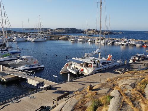 Cat Bukvai 48 for rent in Agios Kosmas Marina