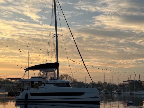 Cat Catspace available for charter in Annapolis