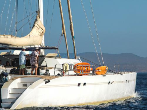 Cat Lonestar for rent in Eden Island Resort