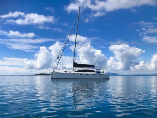 Cat DH 550 for rent in Eden Island Resort