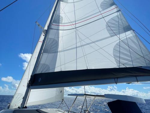 Katamaran Elba 45 Yachtcharter in Marsh Harbour