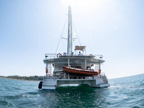 Catamaran Emerald 51 for charter in Mirissa