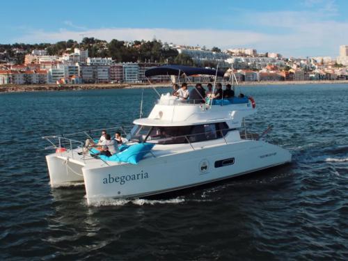Cat Highland 35 available for charter in Lisbon