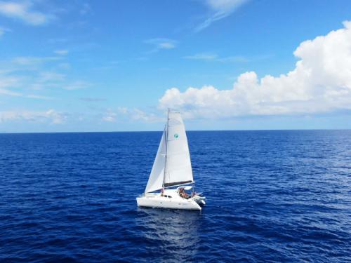 Katamaran Lagoon 380 S2 chartern in Porto Rotondo