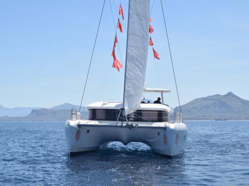 Catamaran Lagoon 42 for rent in Palermo
