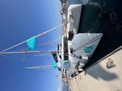 Catamaran Lagoon 42 for rent in Ajaccio