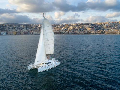 Catamaran Lagoon 450 F available for charter in Naples