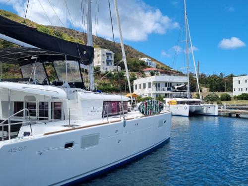 Catamaran Lagoon 450 for charter in Hodges Creek Marina