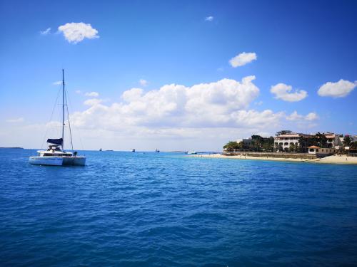 Catamaran Lagoon 450 F for rent in Mtoni