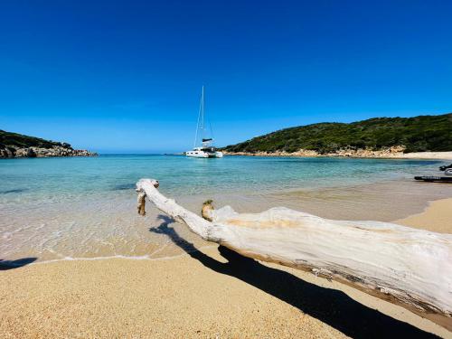 Kat Lagoon 46 Yachtcharter in Ajaccio