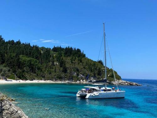 Cat Lagoon 50 available for charter in Sukosan Bibinje