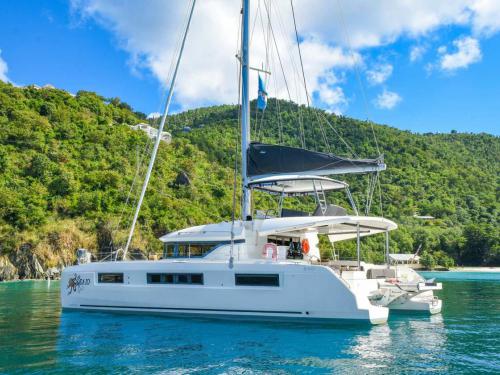 Catamaran Lagoon 50 for rent in Joma Marina