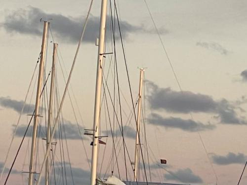 Cat Lagoon 51 for charter in Nanny Cay Town