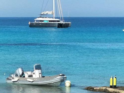 Kat Lagoon 620 Yachtcharter in Ibiza Stadt