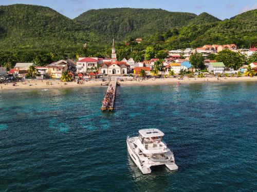 Katamaran Leopard 43 Yachtcharter in Marina Le Marin