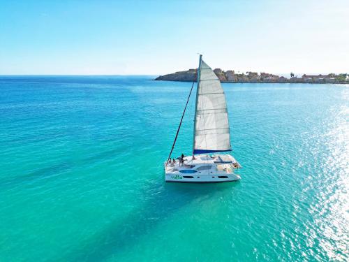 Cat Leopard 44 for rent in Philipsburg