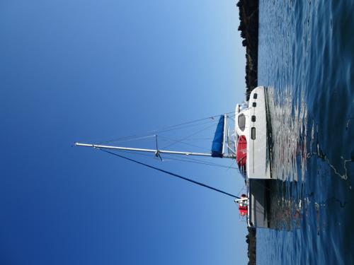 Kat Leopard 46 chartern in Marina Le Marin