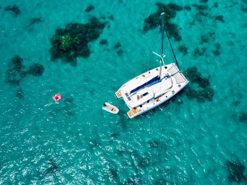 Cat Leopard 48 for charter in Mtoni