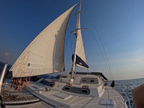 Cat Majestic 530 for charter in Hell Ville