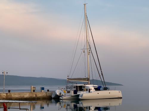 Cat NEEL 45 for rent in Pula