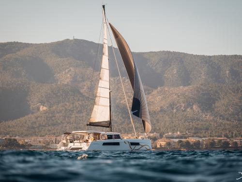 Cat Neel 47 for rent in Cogolin
