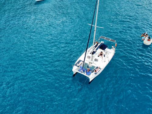 Catamaran Petrachi 32 available for charter in Ibiza Town