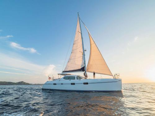 Kat Privilege 585 chartern in Gros Islet