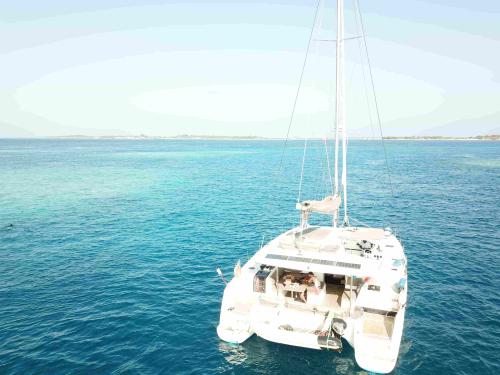 Cat Saba 50 available for charter in Male