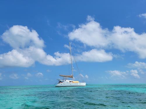 Catamaran Saba 50 for charter in Cucumber Beach Marina
