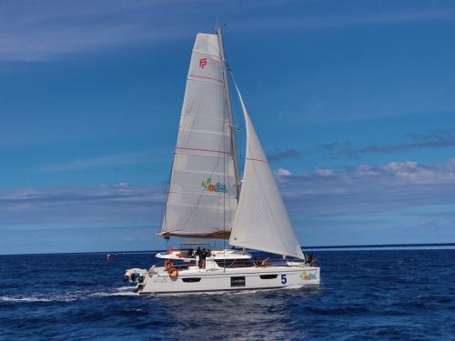 Katamaran Saba 50 Yachtcharter in Marina Praslin