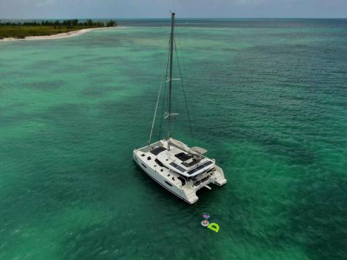 Cat Saona 47 for rent in Road Town