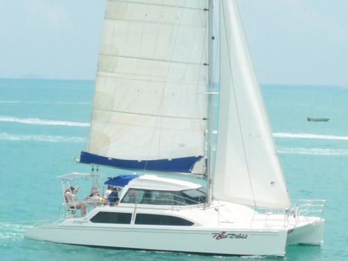 Kat Seawind 1000 Yachtcharter in Marina Abel Point