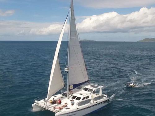 Cat St. Francis 50 available for charter in Red Hook