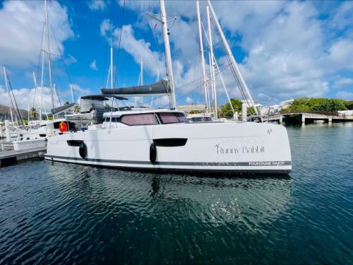 Catamaran Tanna 47 available for charter in Nanny Cay Town
