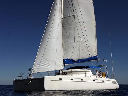 Catamaran Venezia 42 for hire in West Palm Beach