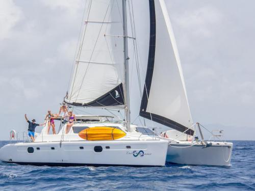Kat Voyage 480 Yachtcharter in Sopers Hole Marina