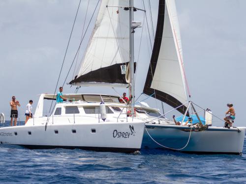 Cat Voyage 520 for charter in Sopers Hole