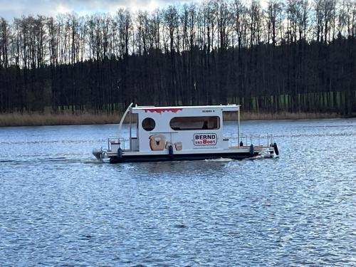 Hausboot Rollyboot 8.2 chartern in Marina Buchholz