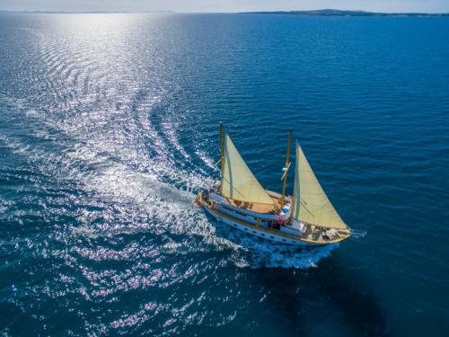 Sailing boat Gulet for rent in Split