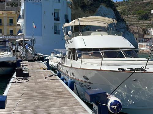 Motor yacht ACM 38 available for charter in Nettuno
