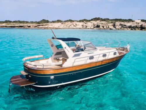 Motoryacht Apreamare 9 chartern in Marina de Denia