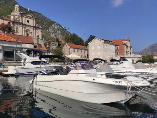 Motorboot Atlantic Marine 750 chartern in Kotor