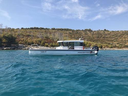 Yacht Axopar 38 available for charter in Novi Vinodolski