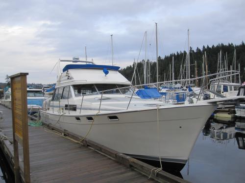 Motoryacht Bayliner 3888 Yachtcharter in Nanaimo