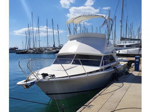 Motorboat Bertram 28 available for charter in Athens